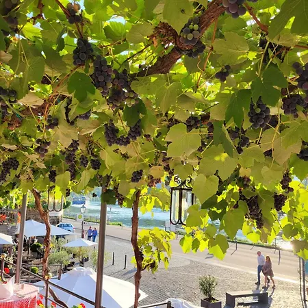 酒店 Restaurant Alte Stadtmauer 3*