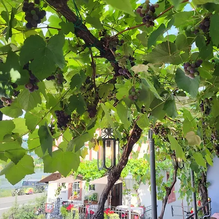 Restaurant Alte Stadtmauer 3*