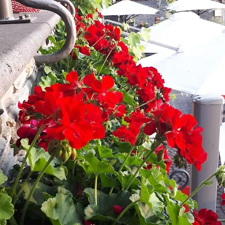 酒店 Restaurant Alte Stadtmauer