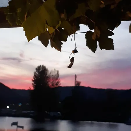 Restaurant Alte Stadtmauer 酒店 3*