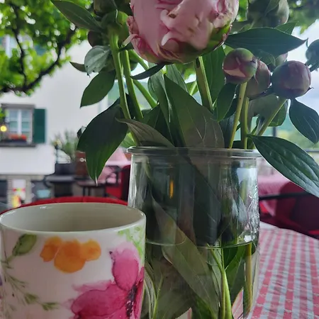 酒店 Restaurant Alte Stadtmauer