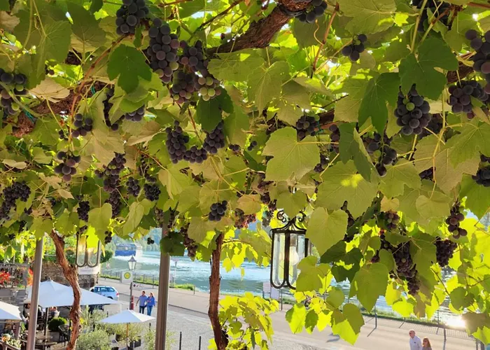 Hotel Restaurant Alte Stadtmauer 3*