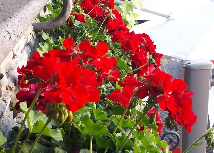 Hotel Restaurant Alte Stadtmauer